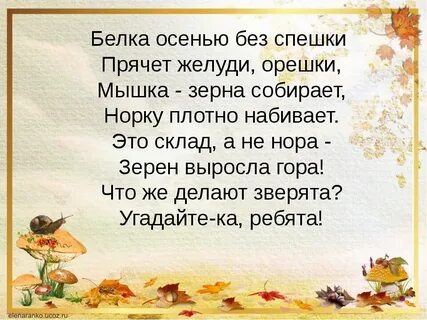 Золотой метелью мчится желтый лист