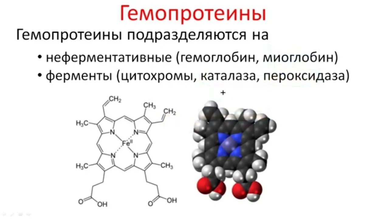 Структура миоглобина биохимия. Строение гема миоглобина. Белок миоглобин формула. Структура гемоглобина и миоглобина. Миоглобин его строение и функции биохимия.