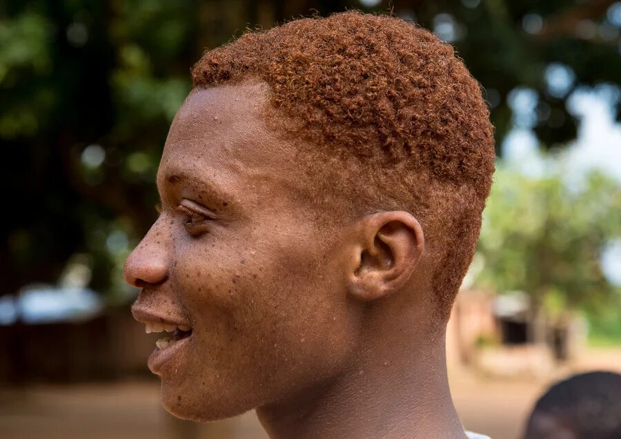 черный рыжий человек. Rodman баскетболист рыжий. рыжий негр. рыжие люди. негроидная и австралоидная раса.