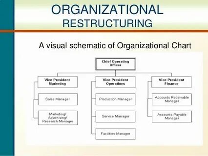 Organization but