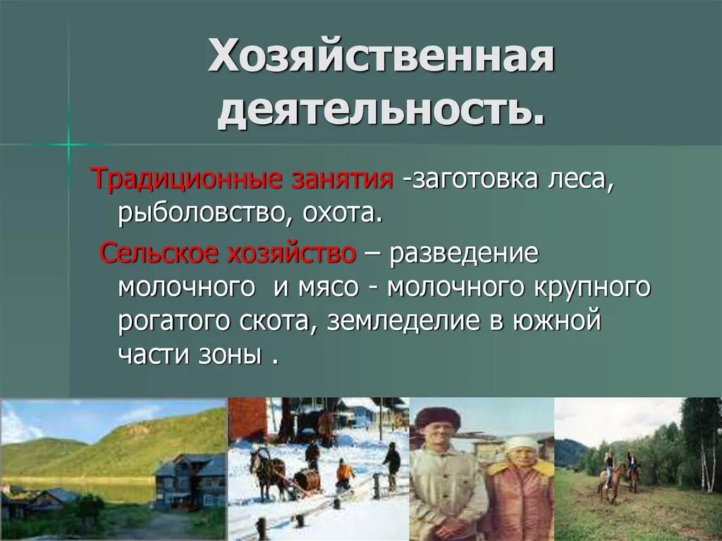 Тайга основные виды хозяйственной деятельности