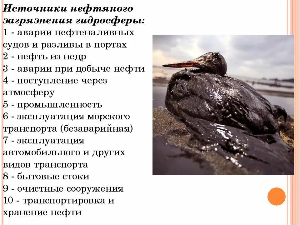 Последствия загрязнения гидросферы нефтепродуктами. Загрязнение гидросферы нефтью. Нефть и нефтепродукты источники загрязнения. Источники нефтяного загрязнения.