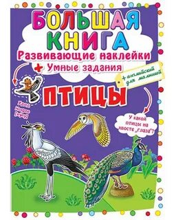 Енакл