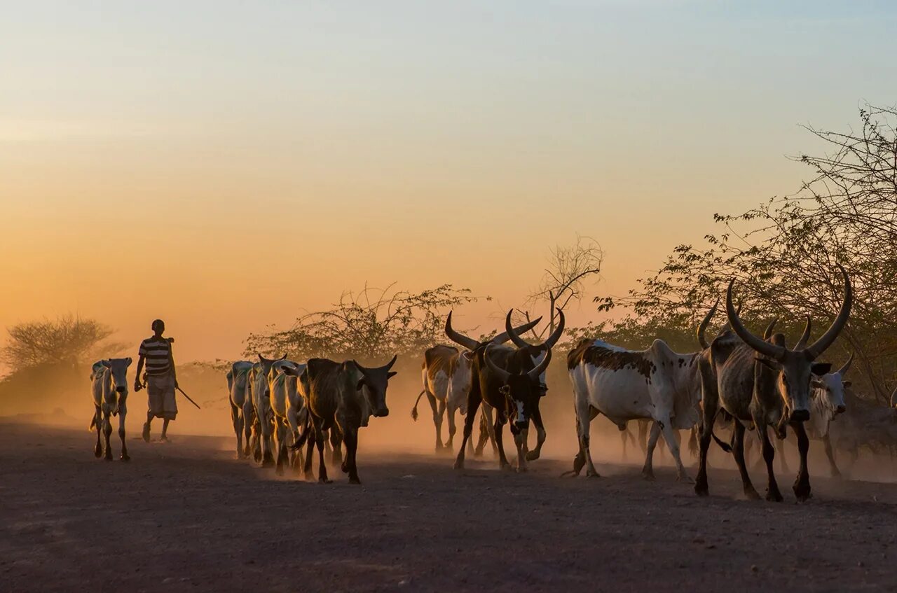 Ethiopia country. Африка Эфиопия. Африка эфиопы. Эфиопия Страна в Африке. Эфиопия ландшафт.