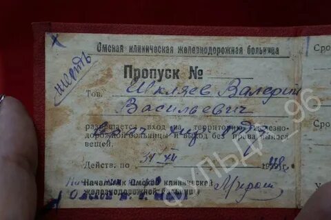 Содержание пропуска