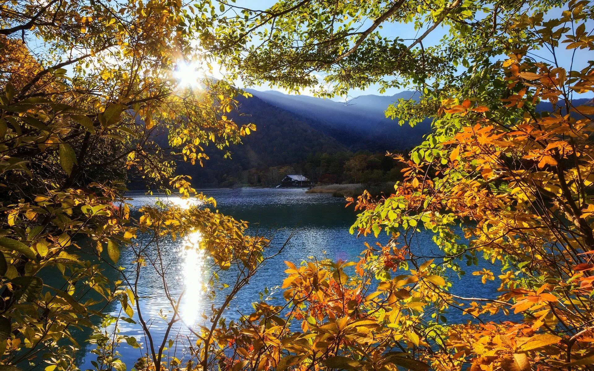 Осень красивое утро картинки. Телецкое озеро лето. Телецкое озеро осенью. Осеннее озеро. Красивая осень.
