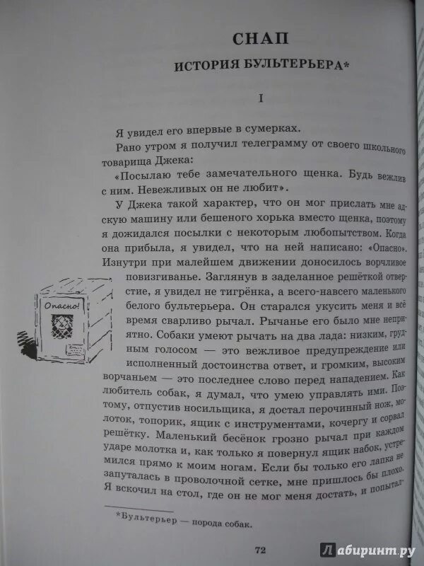 Рассказы снап. Рассказы снап