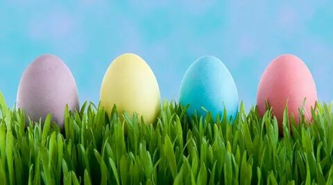 Eggs song