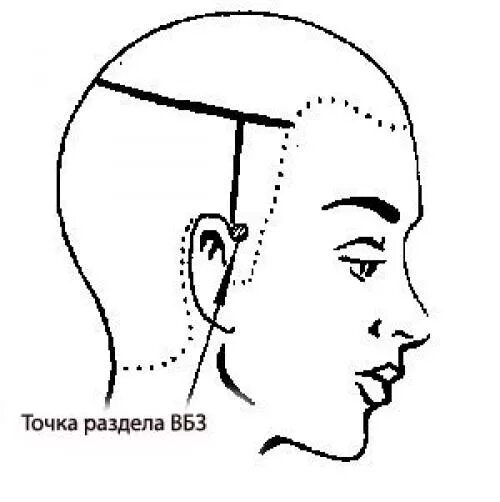 Затылок схема. Схема теменная зона головы. Схема головы для парикмахеров. Схема стрижки теменной зоны. Деление на проборы головы для парикмахеров.