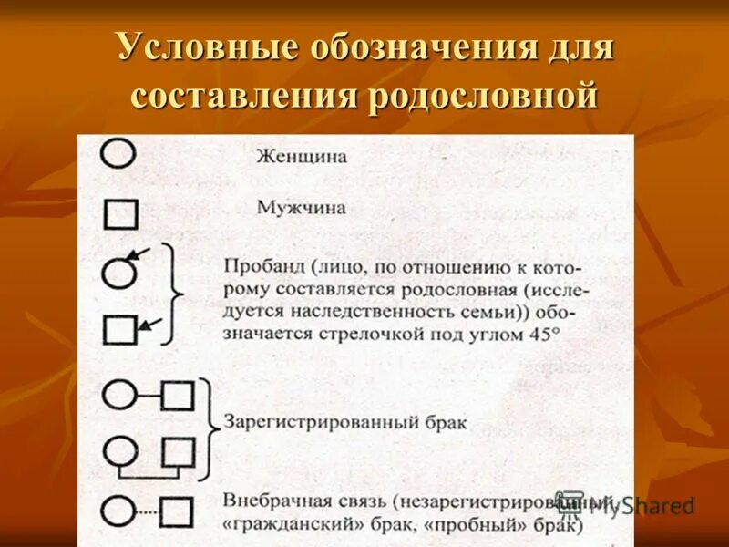 Условные обозначения в генеалогическом древе. Обозначения для составления родословной. Обозначения в генеалогии. Анкета для составления родословной. Символы для составления родословных.