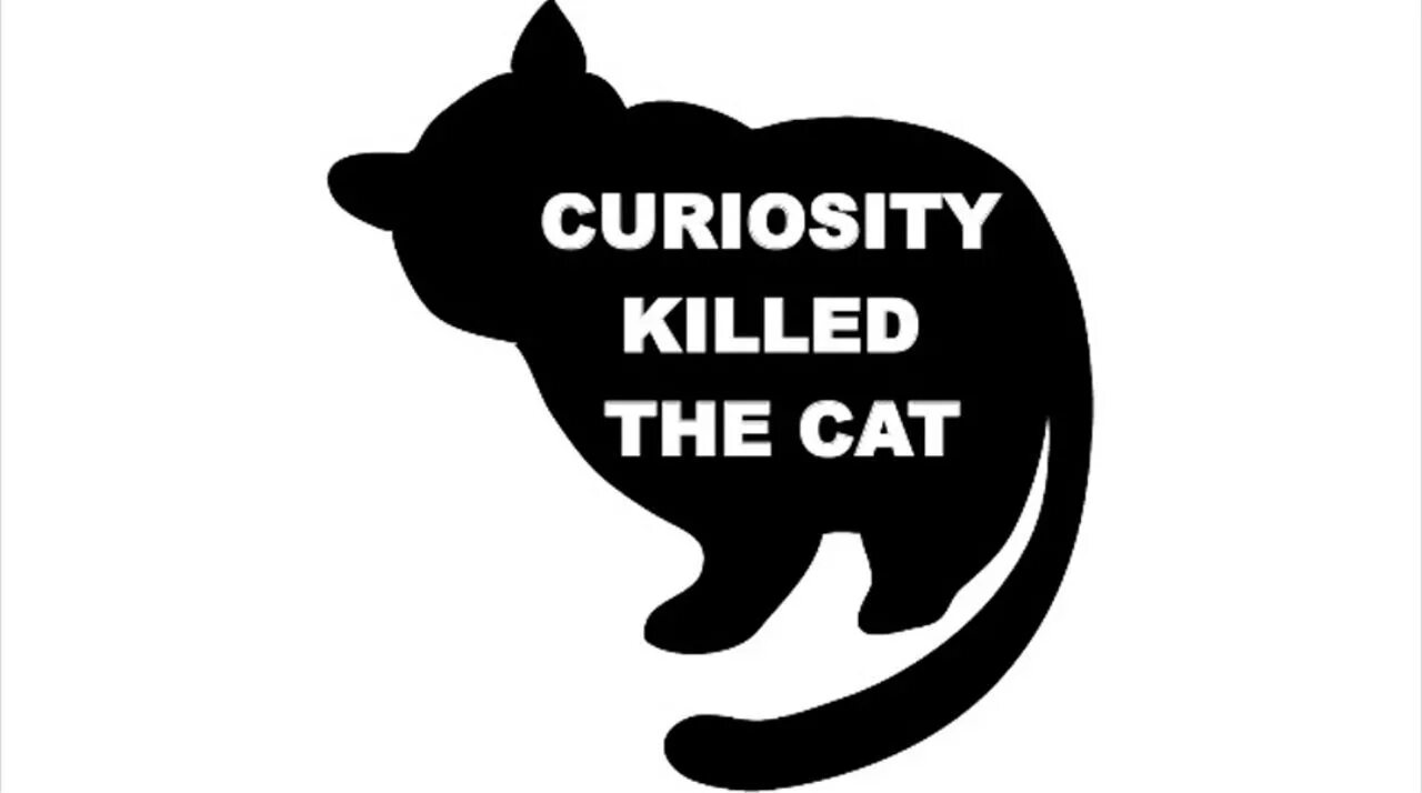 Curiosity Killed the Cat. Пословица Curiosity Killed a Cat.. Curiosity Killed the Cat русский эквивалент. Curiosity любопытство. Curiosity killed the