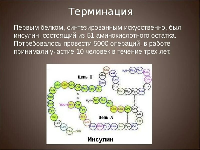 Создание искусственно синтезированного инсулина. Что синтезирует белок. 1 искусственно синтезированный белок. искусственный синтез белков. искусственный синтез белка.