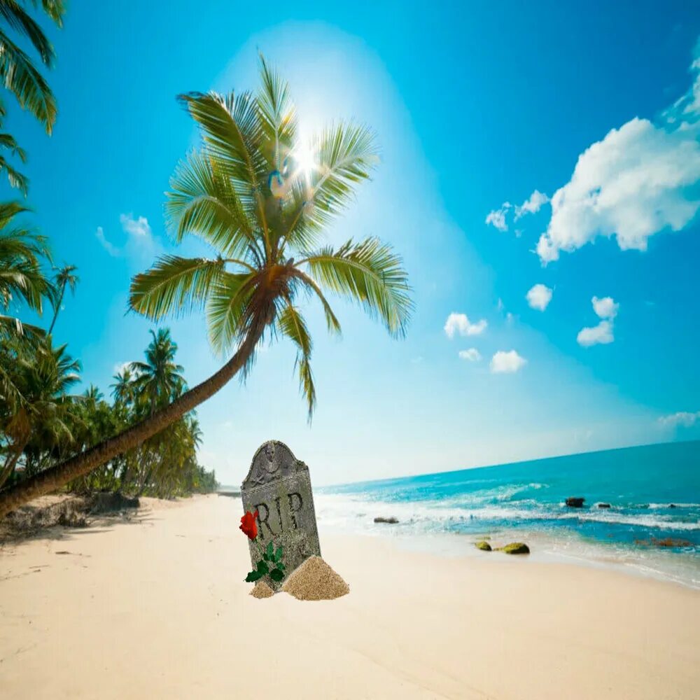 Pin on Phone wallpapers Beautiful beach pictures, Summer beach pictures, Beautif