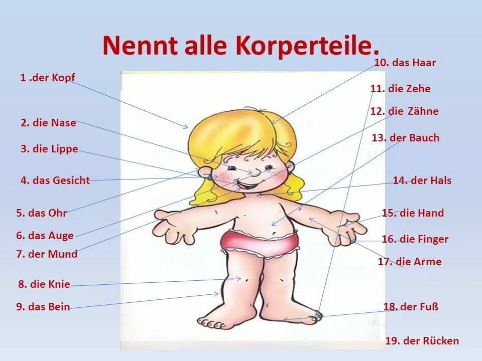 Thema im