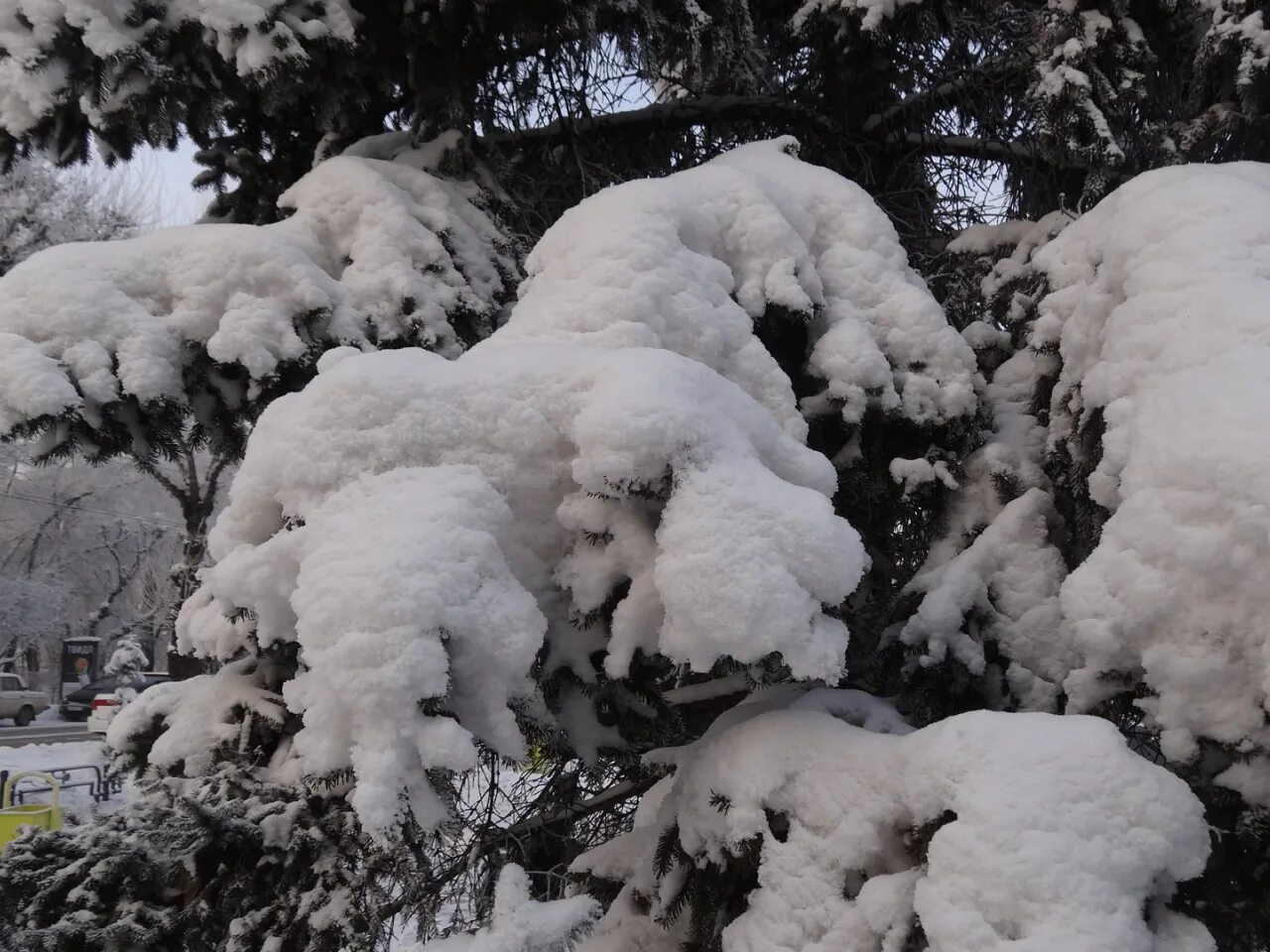 Снег в Альметьевске. Облачно, возможен слабый снег. Скважины снег ель. Местами небольшой снег