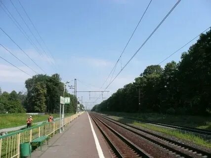 Варшавская вельяминово