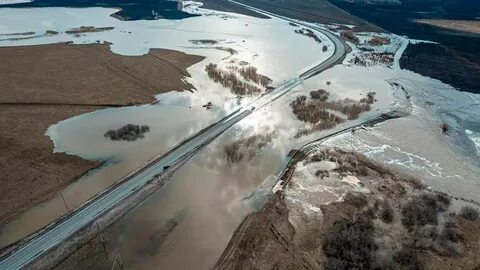 На сколько прибыла вода в реке ишим