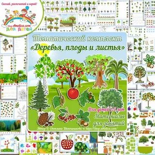 Тема недели деревья и кустарники средняя группа