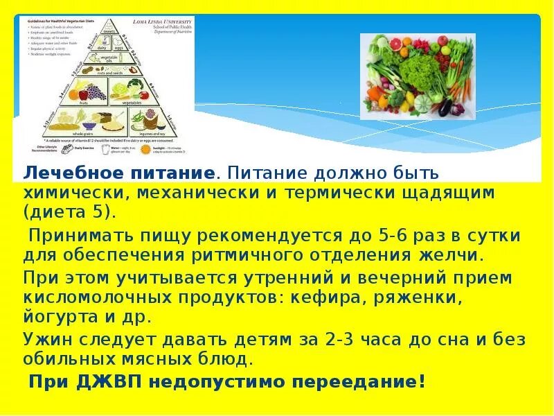 Диета при дискинезии желчевыводящих путей у взрослых. Диета механически и химически щадящая. химически, термически и механически щадящую пищу.. термически щадящая пища. механически термически и химически щадящая пища.