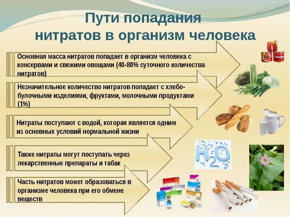 Нитриты вред. Нитраты в организме человека. Пути попадания нитратов в организм. Источники поступления нитратов в организм человека. Источники поступления нитратов и нитритов в организм человека.