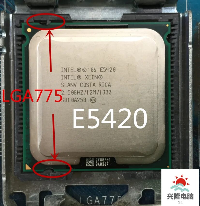 Pentium dual-core. Xeon e5420. Xeon e5420. Intel xeon l5420 (4-ядра 2. E5420 xeon 775.