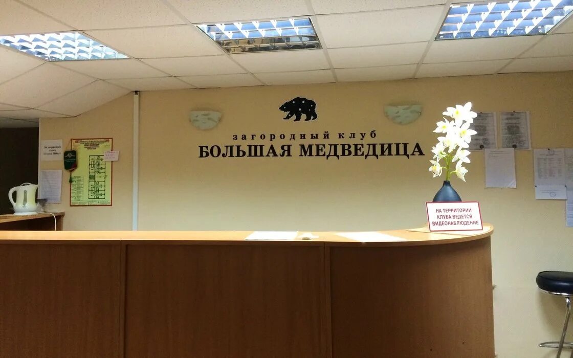 Малая медведица новосибирск. Твк большая медведица новосибирск. Иллюстрации полярной звезды и большой медведицы. Большая медведица. Большая медведица нижний.