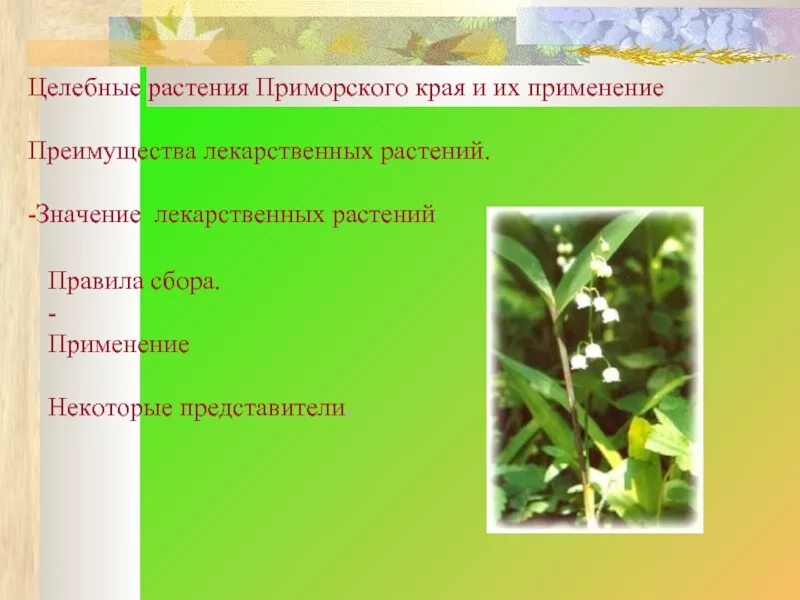 Моя родина - Приморье. Поход выходного дня