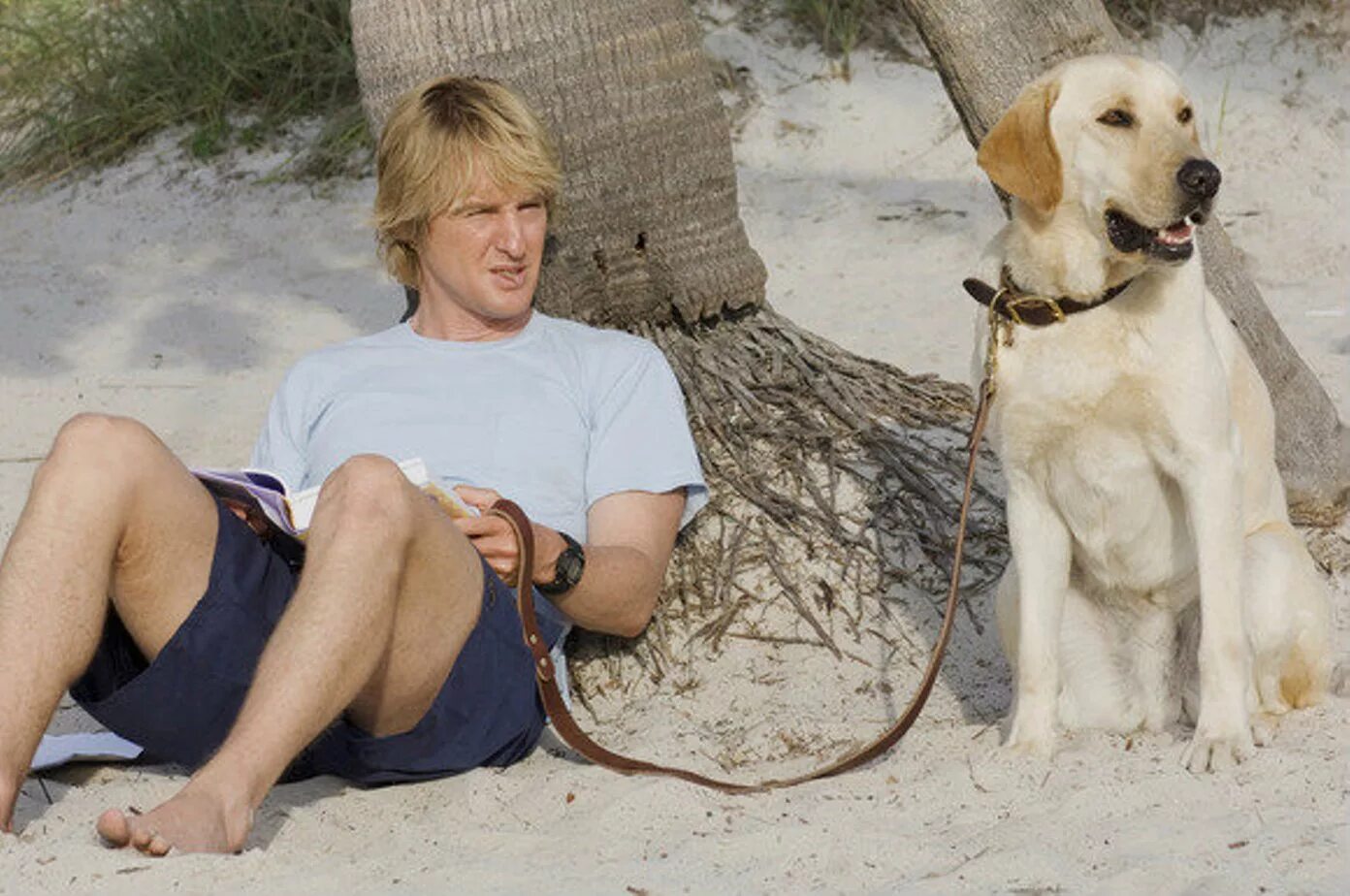 Марли и я 2008. Оуэн уилсон марли и я. marley &amp; me 2008. марли и я (2008г.).