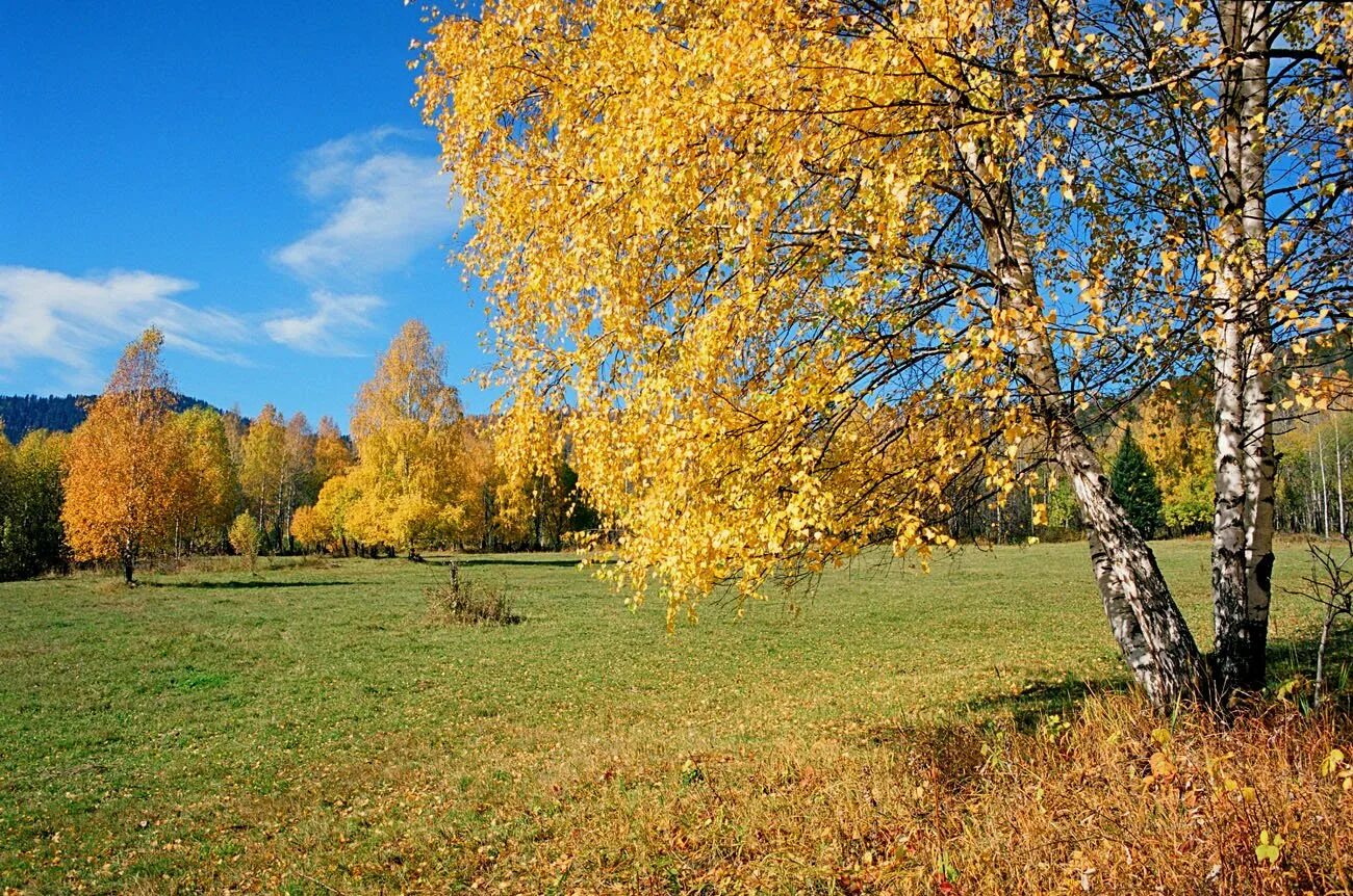 Стоит осенняя пора. Осенняя пора. осенняя пора название. осенняя пора фотографии. осенняя пора очей очарованье заголовок.