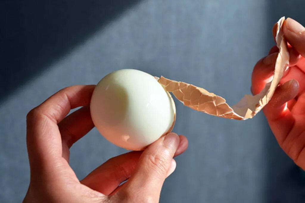 Яйцо трубочка. Яйцо вареное очищенное. Яйцо куриное. Яйцо вареное в скорлупе. Протертое яйцо.