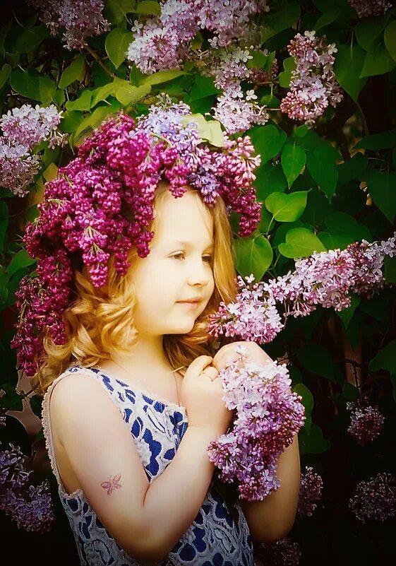 солнышко алиса. солнышко алиса. солнышко алиса. вышивка крестом солнце. елена мельникова архитектор судьбы.