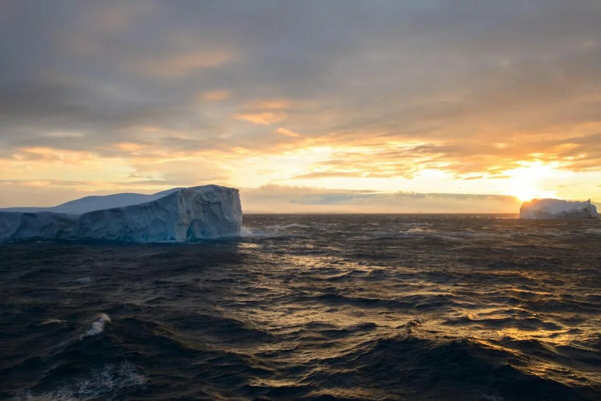 Южный океан г. Южный Ледовитый океан. Южный антарктический океан. Антарктида Южный океан. Южный океан это океан.