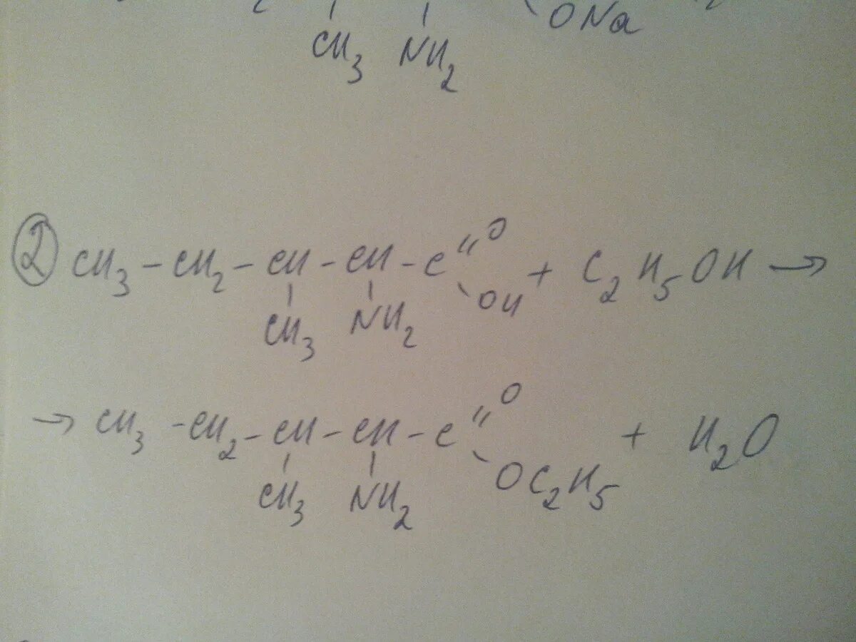 2-Амино-3-метилпентановой кислоты. 2-Амино-4-метилпентановой кислоты. 3 Амино 3 метилпентановая кислота. 2 метилпентановая кислота формула