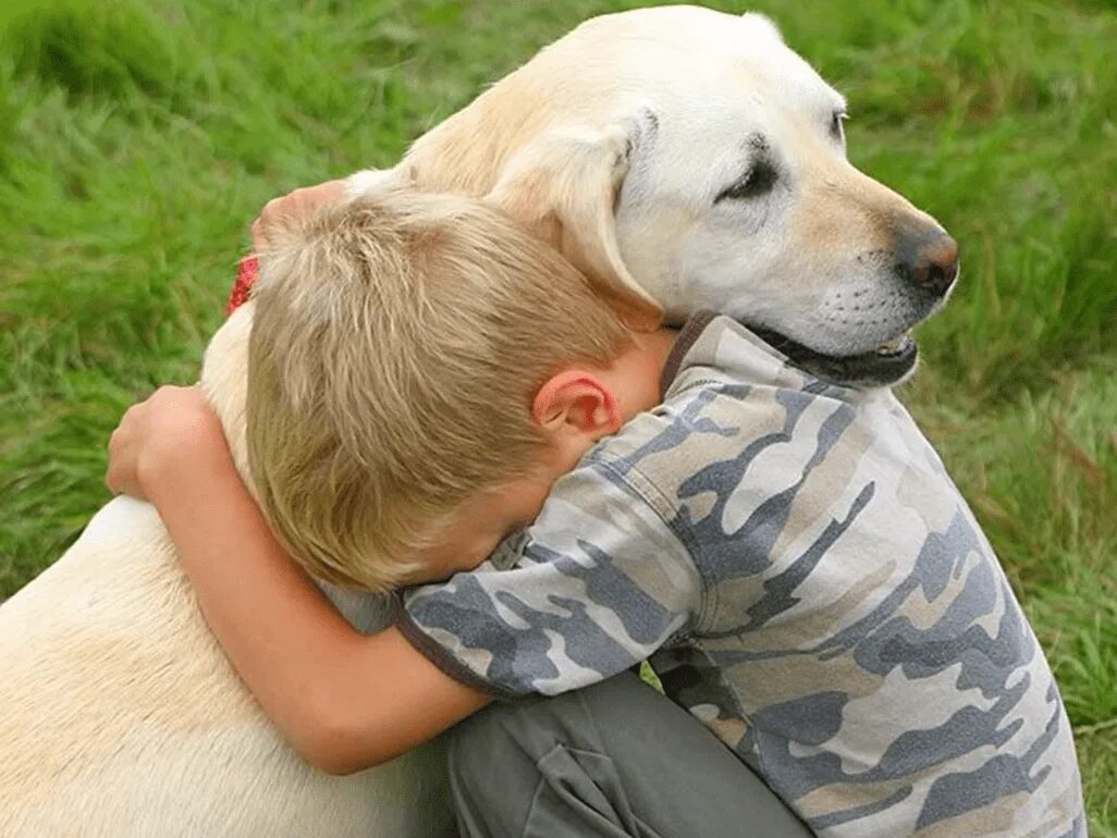 Любопытство 3. Собака друг человека. Животные друзья человека. Собака для детей. Для детей. Животные.