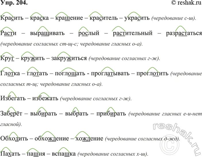 Выпишите группами однокоренные слова выделяя в каждом. Упр 204. Составьте пары из однокоренных слов подчеркни чередование в корне. Русский язык 6 класс страница 100 номер 204.