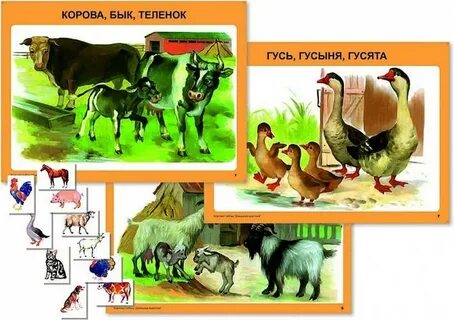 Таблица домашние животные