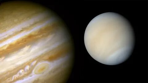 Venus am