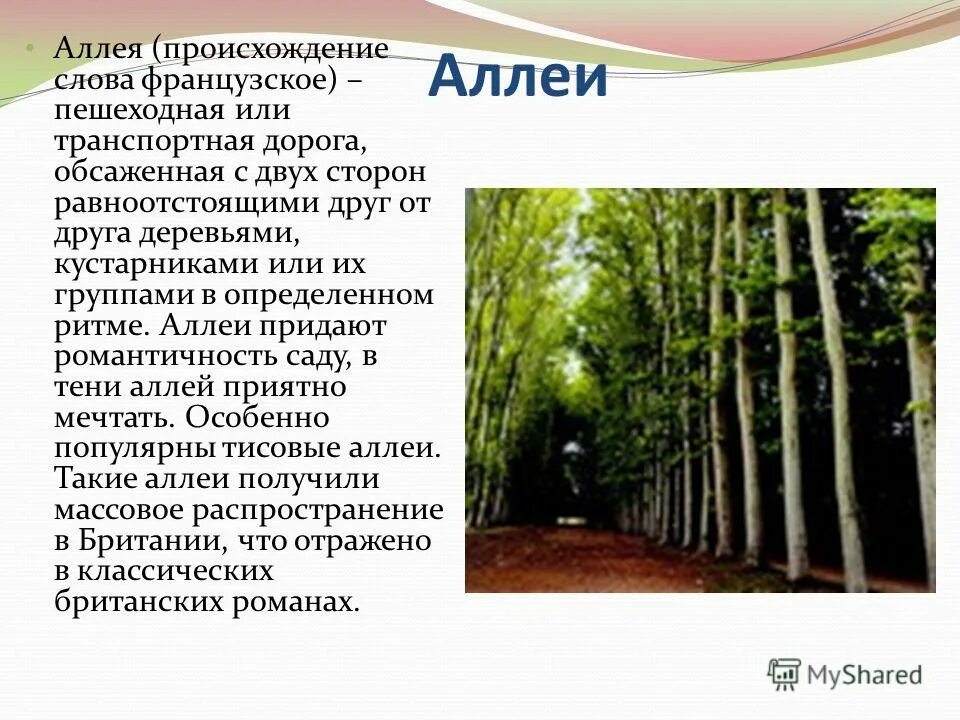 Предложение со словом алеет. Аллея составить предложение. Загадка про аллею для детей. Аллея родственные слова. Загадка про аллею для детей.