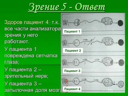 Зрение 1 форум