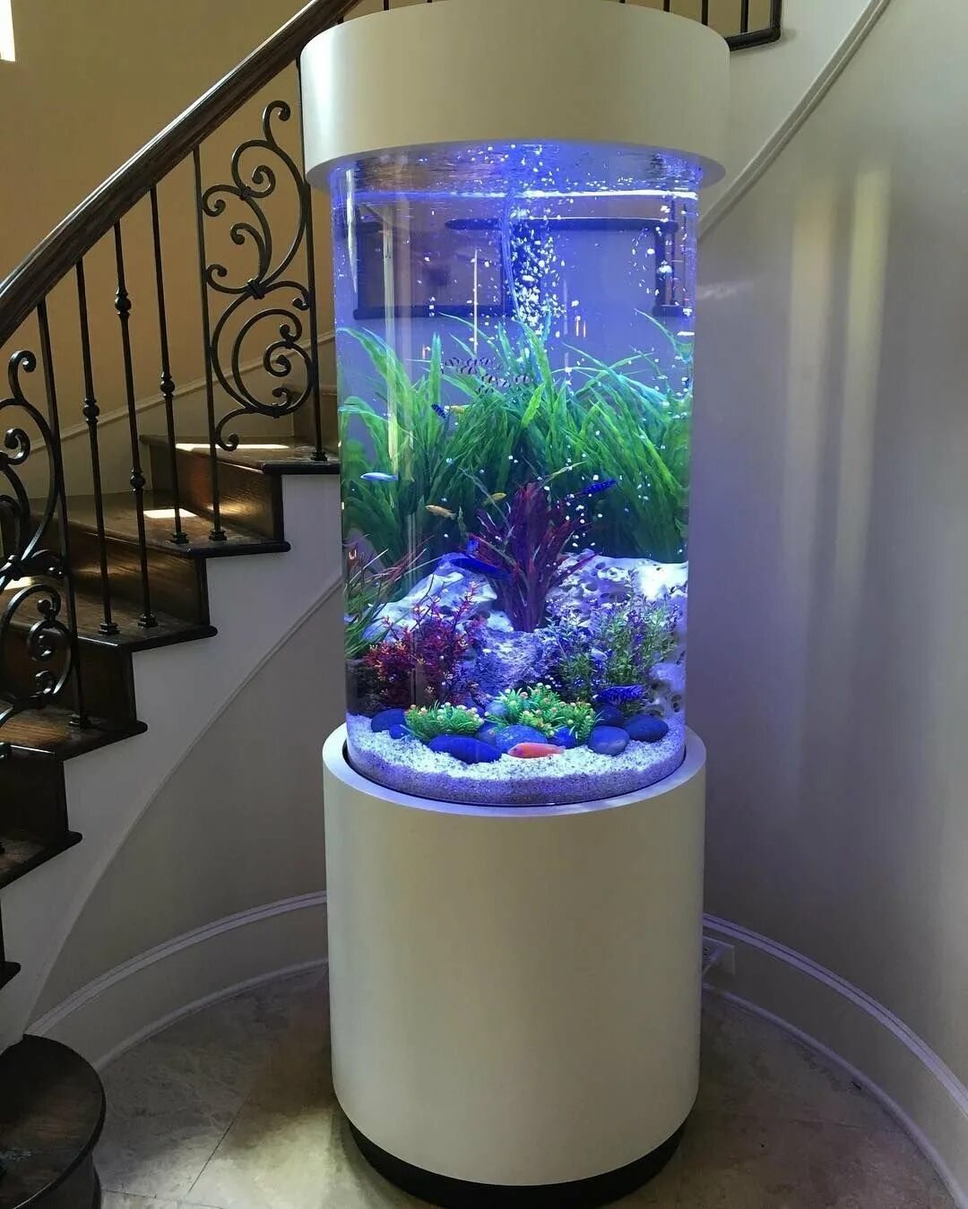 Аквариум в интерьере. Дизайнерский аквариум. Рыбки для аквариума. Красивые аквариумы.