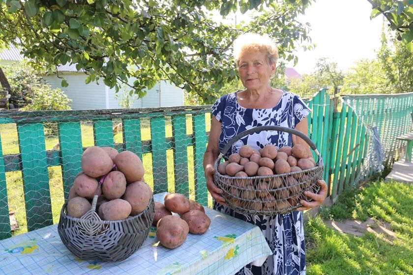 Копыльский район минской области. Деревня Гулевичи Копыльский район. Смоличи Копыльский район деревня. ОАО Преснаки Копыльский район. Деревня Римаши Копыльский район.