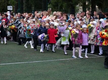 Школа 167 зеленогорск красноярского