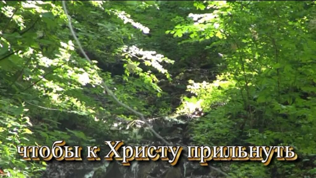 Жизни река бежит. Река жизни. Песня бежит река. Эх жизнь река Хмелев. Песня жизнь бежит течет