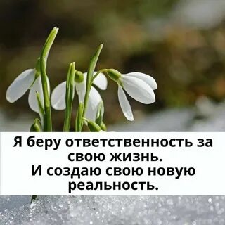 Ответственность за свою жизнь