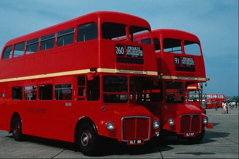 красивый автобус. виды автобусов. автобусы разных цветов. автобусы разных цветов. разные автобусы.