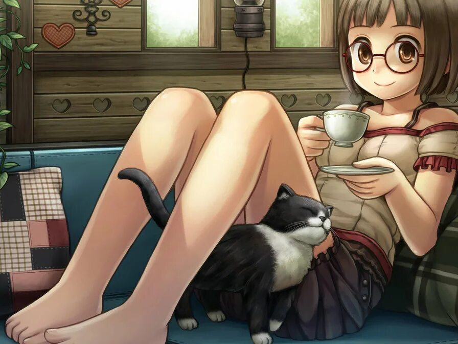 Кошка девочка коллет