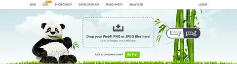 Jpeg png webp gif
