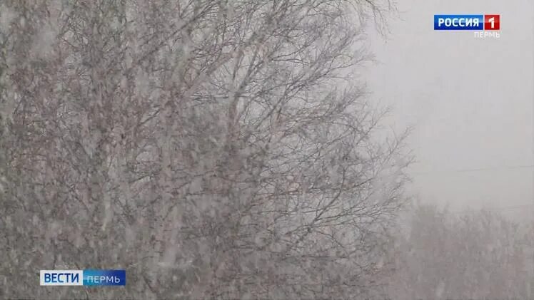 погода в перми в феврале 2024 года