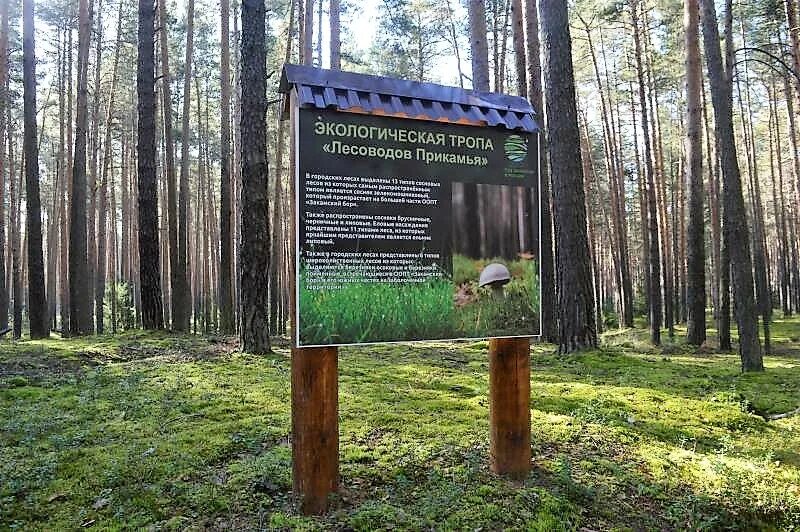 Экологические тропы перми. Кислотные дачи пермь. Припышминские боры национальный парк. Экотропа удивительное рядом пермь. Национальный парк припышминские боры талица.