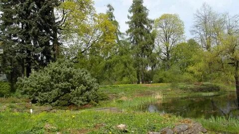 Green well